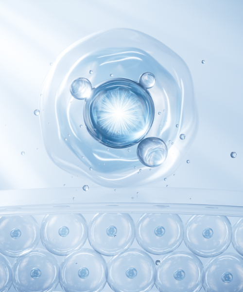 acide hyaluronique, une molécule naturellement présente dans les tissus conjonctifs